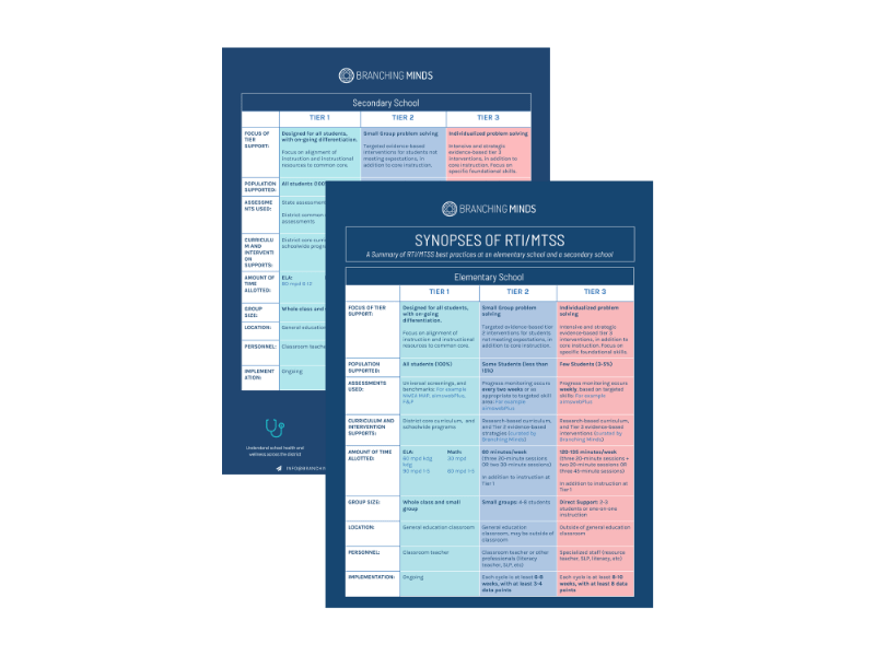 synopses-mtss-elementary-secondary