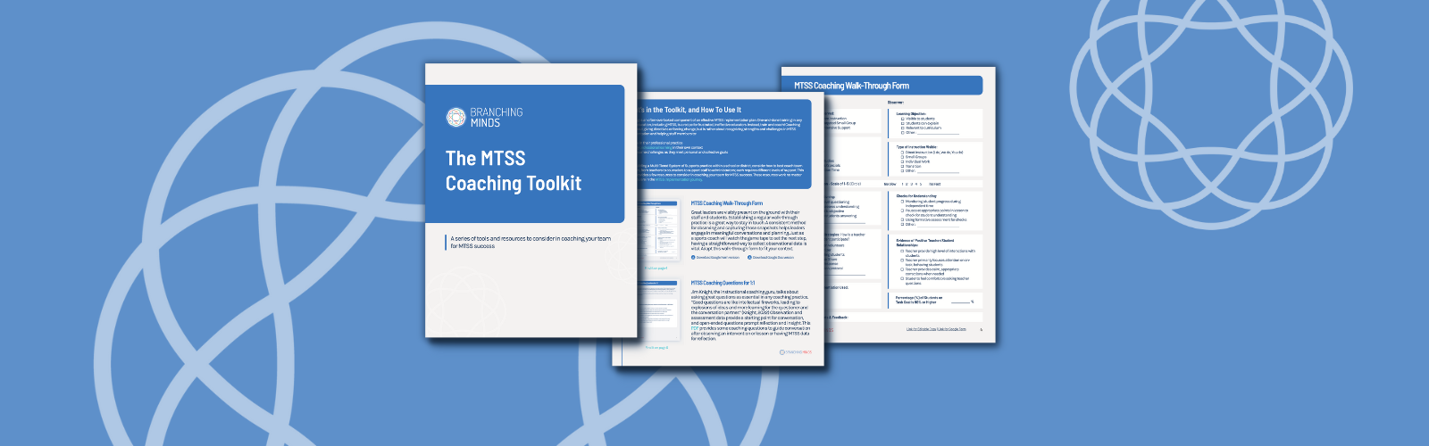 The MTSS Coaching Toolkit
