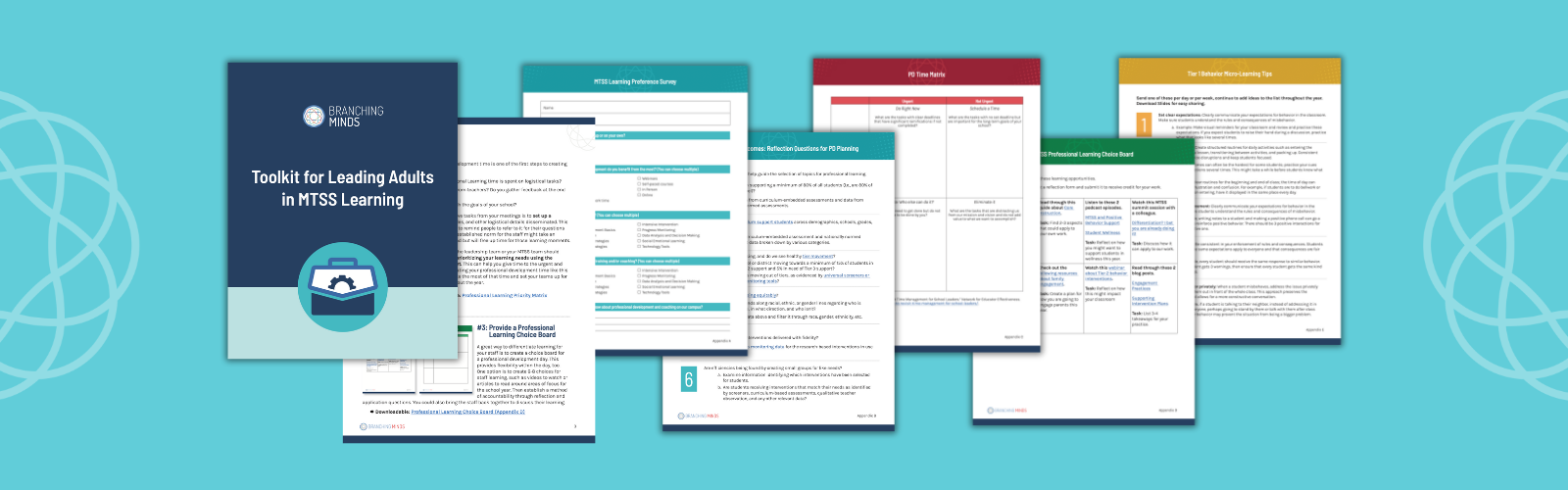 Toolkit for Leading Adults in MTSS Learning