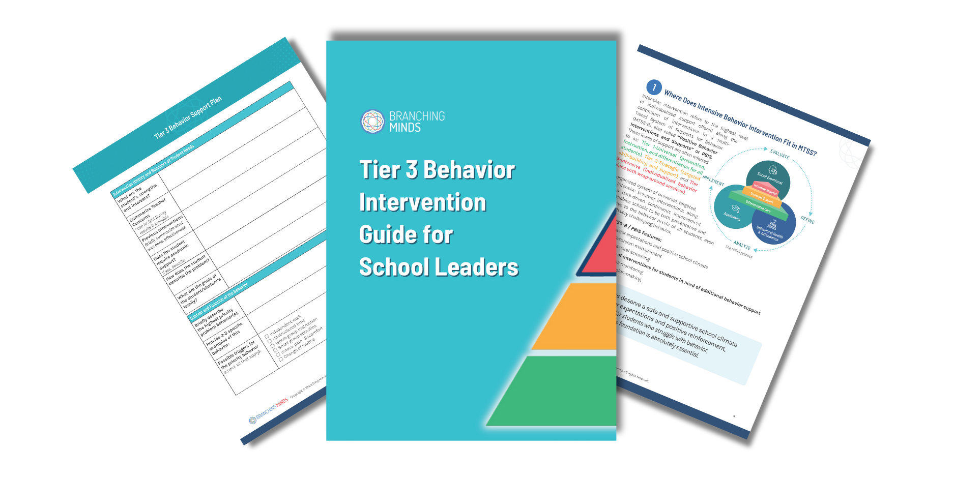 Tier 3 Behavior Intervention Guide Graphic