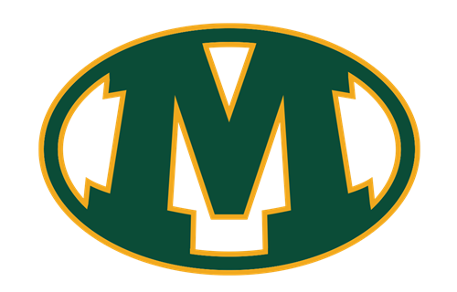 Medina City Schools