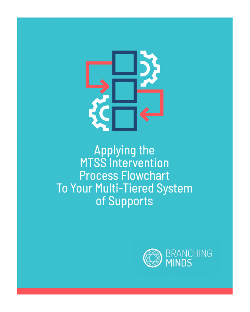 MTSS Intervention Process Flowchart Guide 2